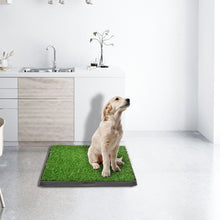 Load image into Gallery viewer, truepal Artificial Grass Dog Pee Pad Potty - Artificial Grass Patch for Dogs - Pet Litter Box