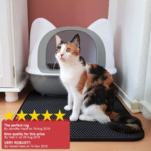 Load image into Gallery viewer, truepal 75 x 55cm Waterproof Double-Layer Cat Litter Mat Trapper Foldable Pad Pet Rug