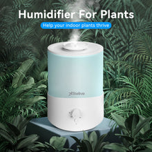 Load image into Gallery viewer, Stelive 2.5L Humidifier for Bedroom Children&#39;s Room, Cool Mist Humidifier and Essential Oil Diffuser Combo, Top Fill Humidifier for Baby, Home, Plant