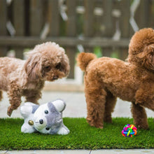 Load image into Gallery viewer, truepal Artificial Turf Pet Grass Mat Replacement for Puppy Potty Trainer