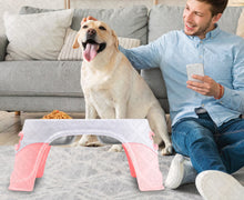 Load image into Gallery viewer, truepal Dual Elevated Raised Pet Dog Puppy Feeder Bowl Stainless Steel Food Water Stand
